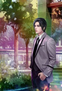 奶爸至尊凌云免费